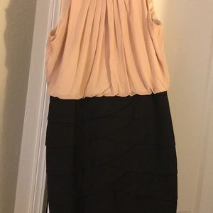 Collection Dress Barn dress